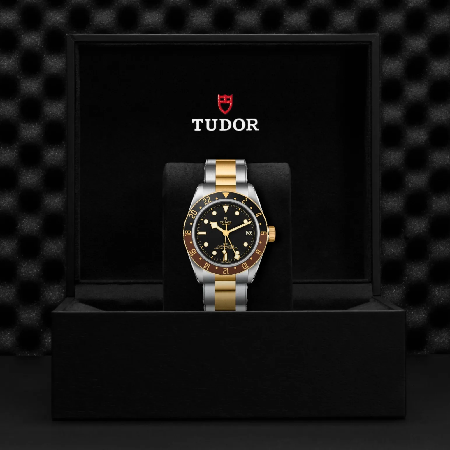 Black Bay GMT S&G